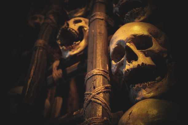 可怕的骷髅墙图片下载