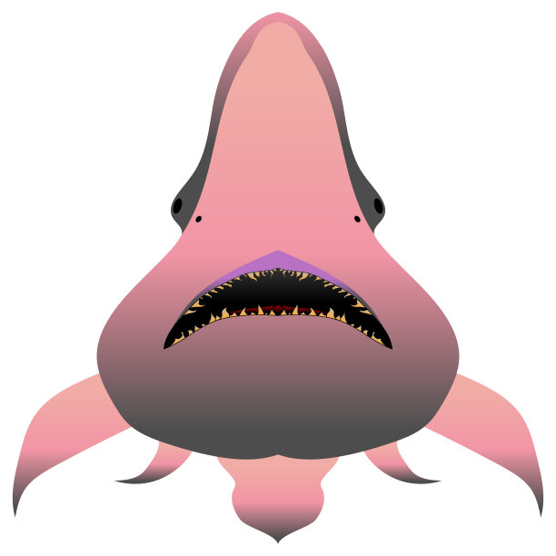 妖精鲨鱼。野生动物。水下鱼类矢量。图片下载