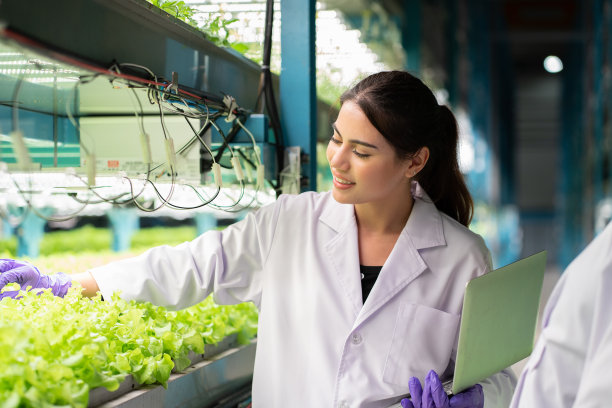年轻的女科学家穿着白色制服，在室内垂直农场的有机水培蔬菜地里工作，手里拿着笔记本电脑，微笑着开心地站着图片下载