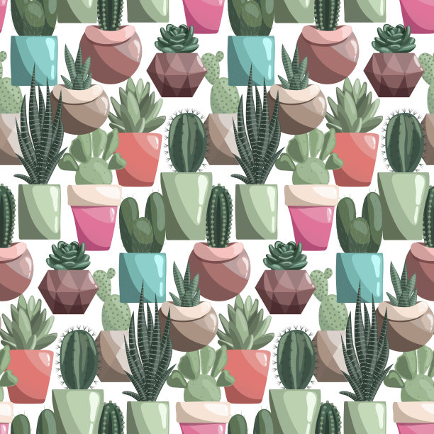 无缝的背景与不同的多肉陶瓷锅上的白色。图片下载