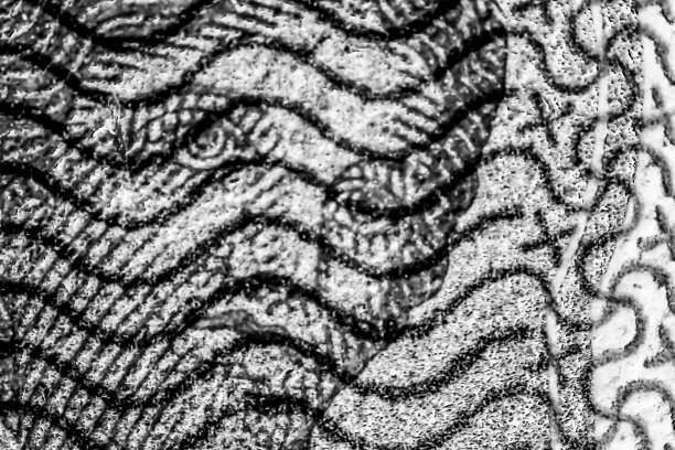 黑白摄影图片下载