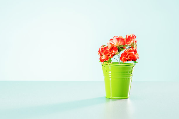 园艺概念与粉红色的花在绿色花盆上薄荷背景与复制空间。图片下载