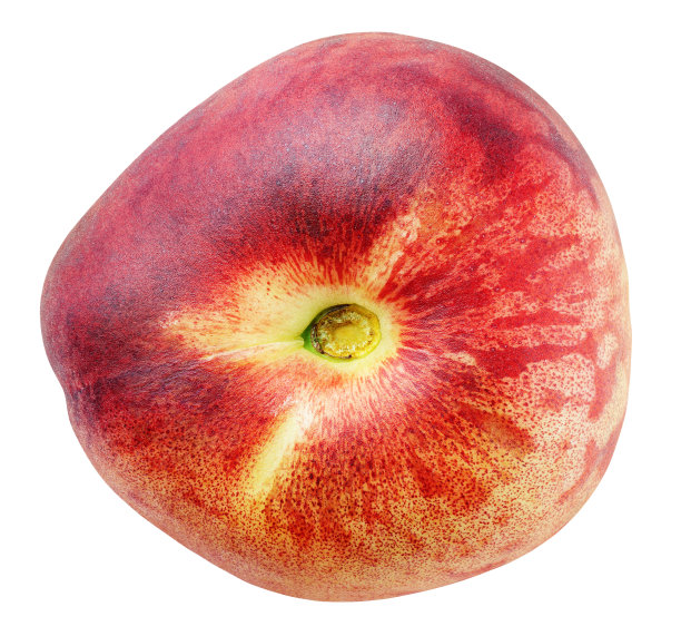 中国扁桃甜甜圈孤立上白图片下载