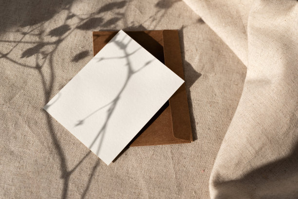 空纸卡和信封与美学严酷的花卉阳光阴影在中性米色亚麻背景，自然波西米亚商业品牌模板与模拟复制空间图片下载