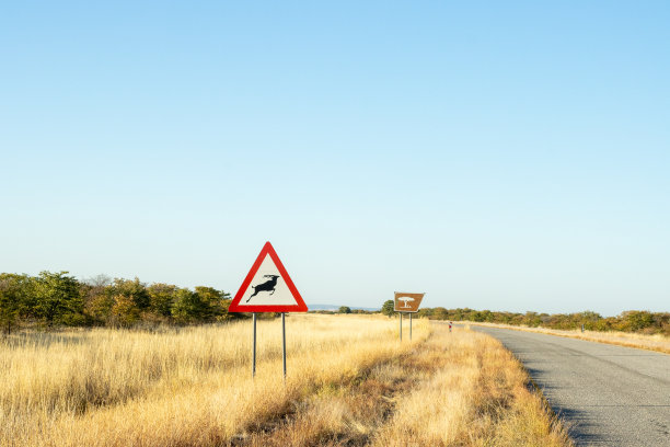 纳米比亚库内内地区埃托沙国家公园附近C38路上的道路警告标志图片下载