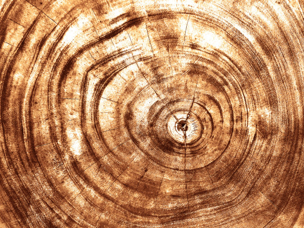 漂亮的木纹。木头的背景。木纹图案纹理背景图片下载