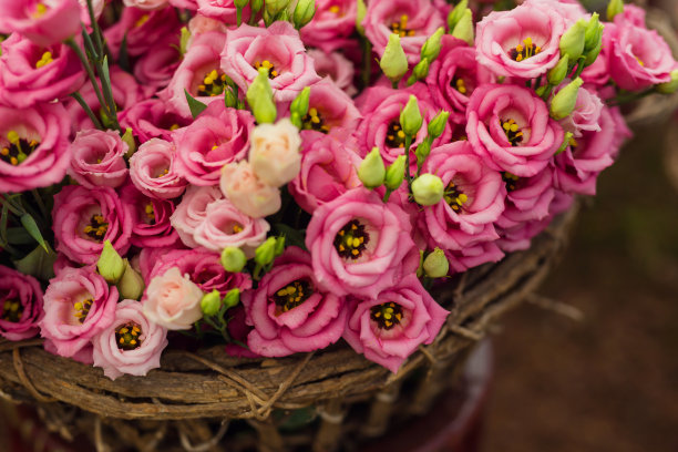 一个装满粉色玫瑰的篮子的特写图片下载