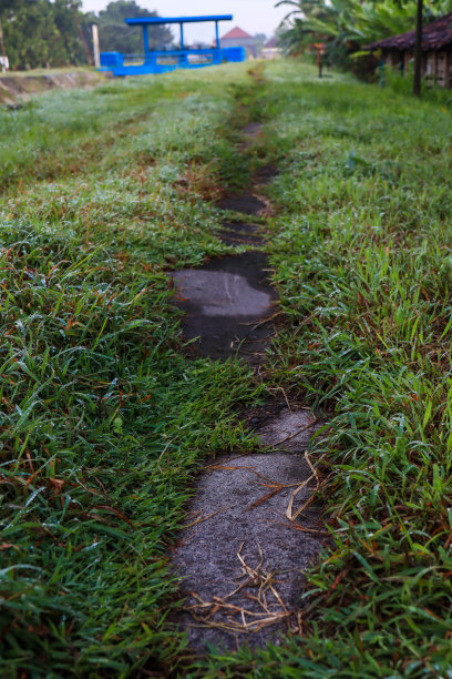 人像照片的道路通过草地图片下载