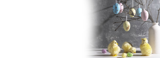用复活节彩蛋装饰树枝的花瓶。可爱的黄色小鸡。复活节装饰，空间为文字。图片下载