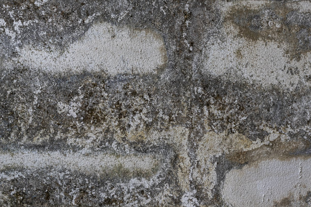 由于雨季水分过多，墙壁发霉了。图片下载