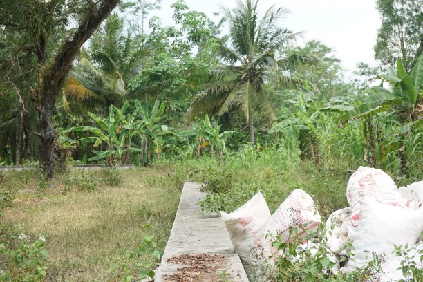 村里的自然照片图片下载