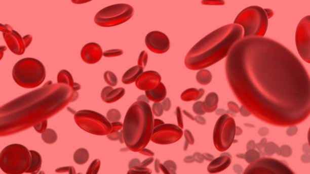 红细胞在动脉中流动图片下载