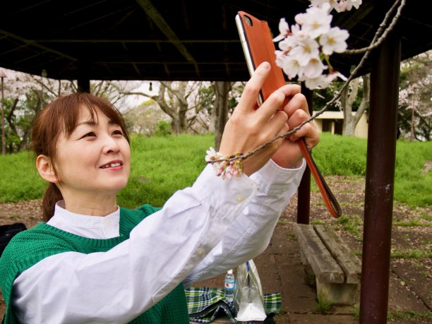 拍摄樱花的女子特写图片下载