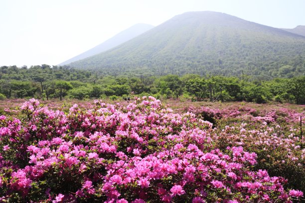Shikagahara，可爱的Miyama Kirishima博客图片下载