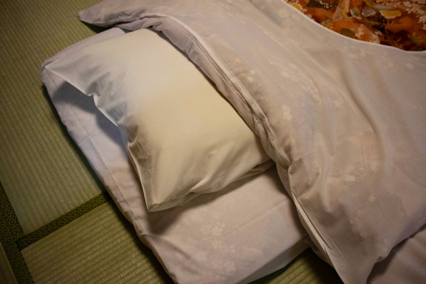 日本人的房间里铺满了蒲团图片下载