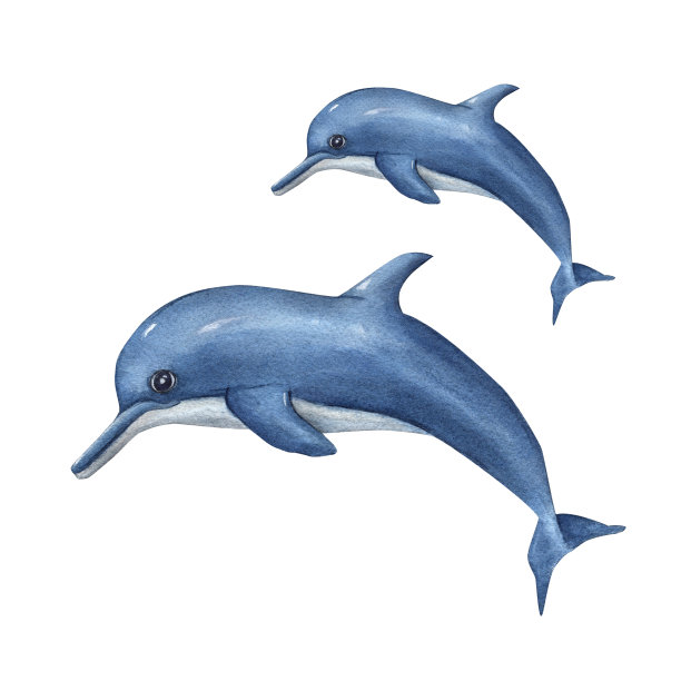 水彩卡通游泳海豚孤立在白色背景。海的插图可以用于儿童房间装饰，儿童印刷，海报，图案，贴纸，壁纸，包装图片下载