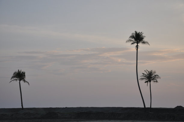 三棵椰子树的剪影在沙滩上黄橙色的日落图片下载