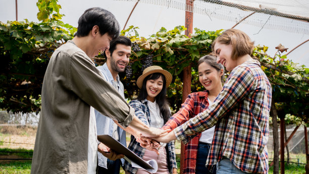 葡萄园里农民的农业会议图片下载