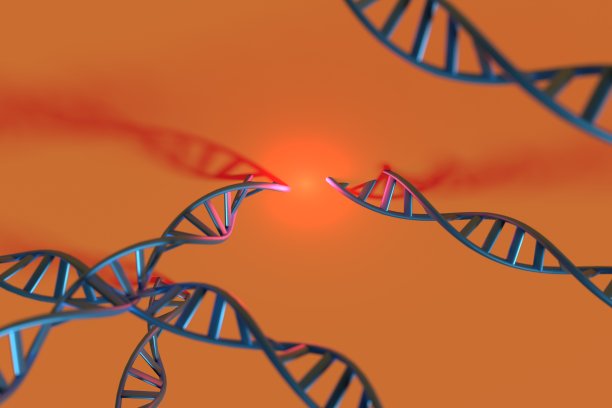 DNA损伤图像。由基因突变引起的疾病。图片下载