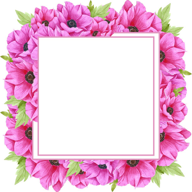 手绘水彩粉红色海葵花花环与绿叶。孤立在白色背景上。剪贴簿，明信片，横幅，标签。图片下载