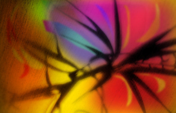 模糊的叶子和花的影子在旧破旧的彩色背景。抽象的背景与花卉图案和交叉线阴影。侘寂风格的美学图片下载