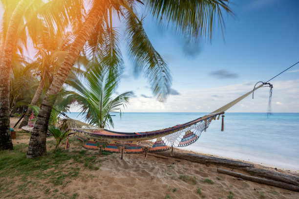 棕榈树间的空吊床图片下载