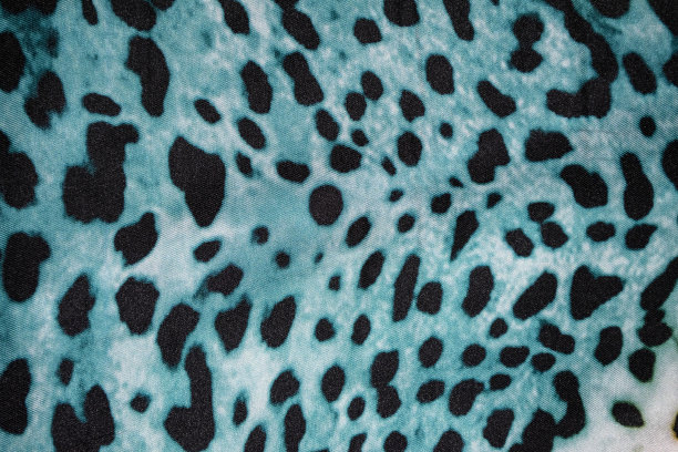 美丽的彩色动物打印背景图片下载