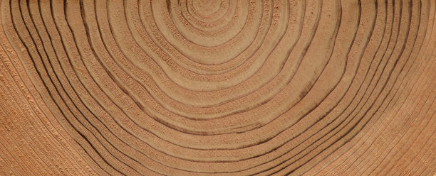 年轮木纹背景。图片下载