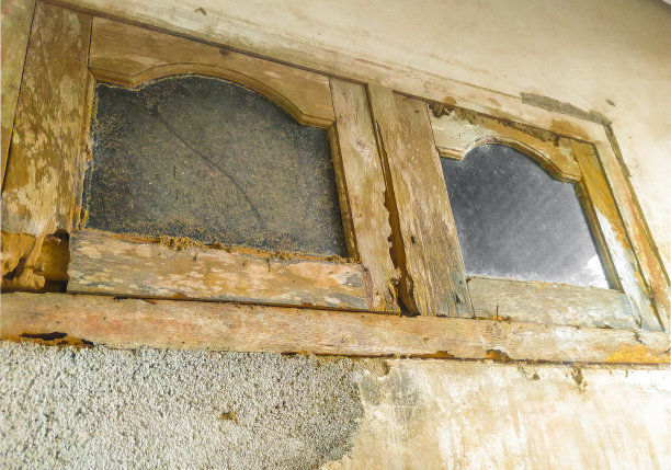 废弃的窗口图片下载