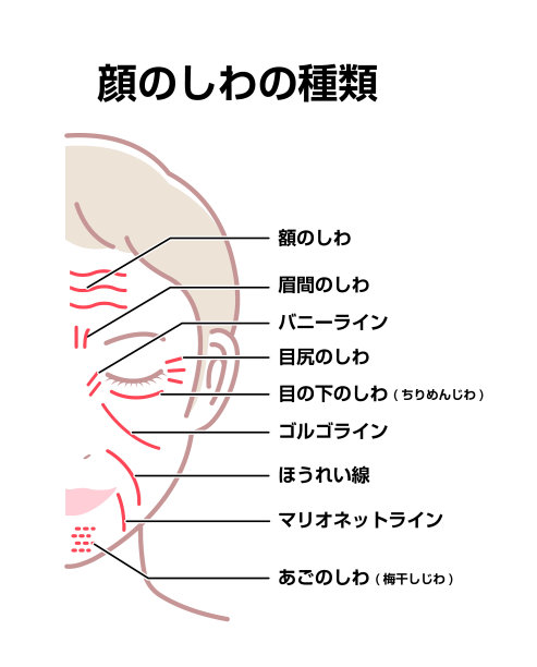 面部皱纹女性面部日本人图片下载