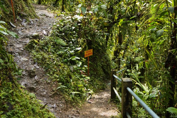 南美厄瓜多尔明多Minjoy公园瀑布瀑布的圣卡萨里奥·德·卡斯卡达斯徒步路线图片下载