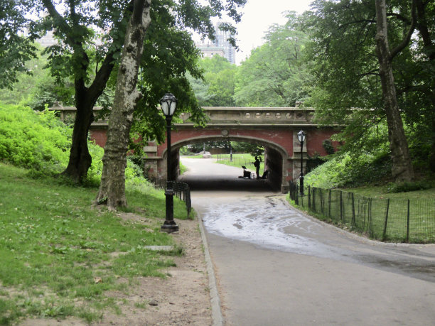 纽约中央公园众多华丽的桥之一图片下载