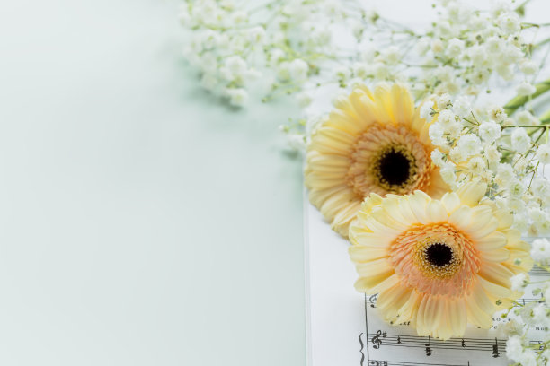 捧花与非洲菊在音乐笔记本上蓝色背景与复制空间图片下载