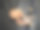 手机密码锁用于移动网络安全或在线银行应用程序的登录验证密码。数据隐私和保护免受黑客、身份窃贼或网络安全威胁。图片下载