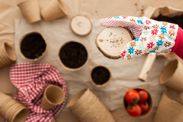 种植番茄种子图片下载