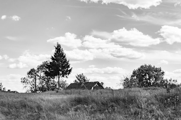 美丽的地平线风景在村庄草地上的颜色自然背景图片下载