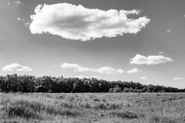 美丽的地平线风景在村庄草地上的颜色自然背景图片下载