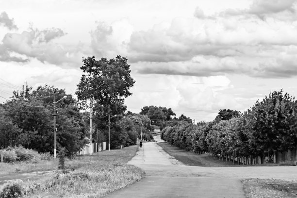 美丽的空旷的柏油路在乡村的光背景图片下载