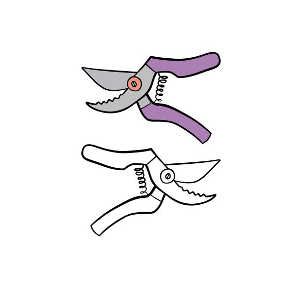 矢量插图为您的设计。彩色和黑色线条轮廓。花园集合。图片下载