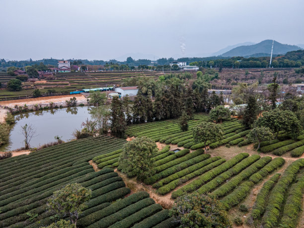 乡村田野鸟瞰图图片下载