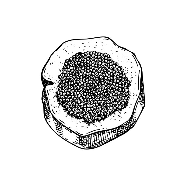 面包片上的鱼子酱手绘素描图片下载