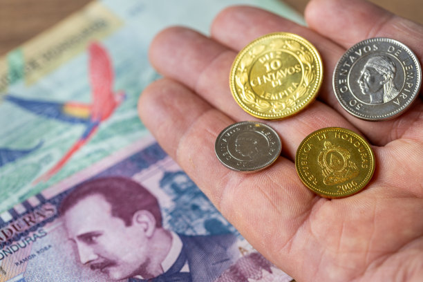 洪都拉斯货币，最高钞票和小硬币，金融概念图片下载