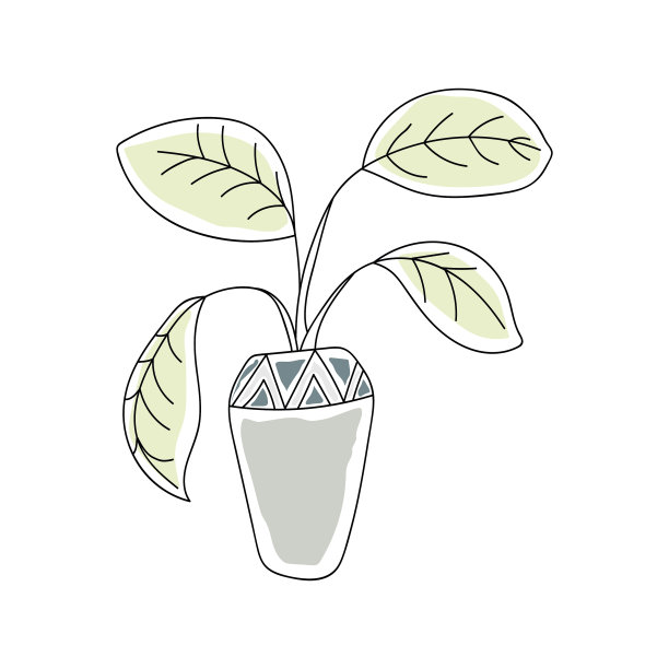 室内植物图片下载