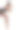 现代芭蕾舞演员在白色背景上摆姿势。优雅的女士做美丽的身体雕塑。图片下载
