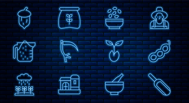 在碗中放入线勺面粉绿豌豆种子图片下载