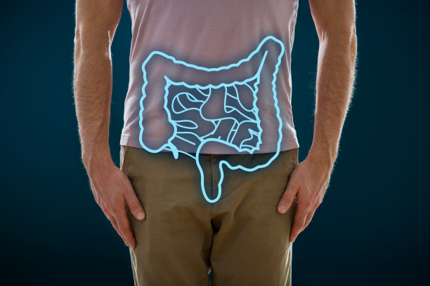 人体消化系统和肠道的图片。图片下载