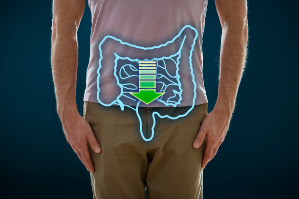 人体消化系统和肠道运动的图片。图片下载