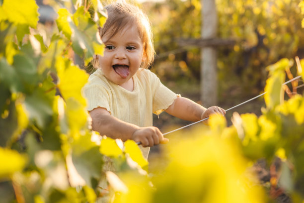 一个小女婴站在夕阳下的葡萄藤庭院风景的梦幻形象。纹理和过滤照片图片下载