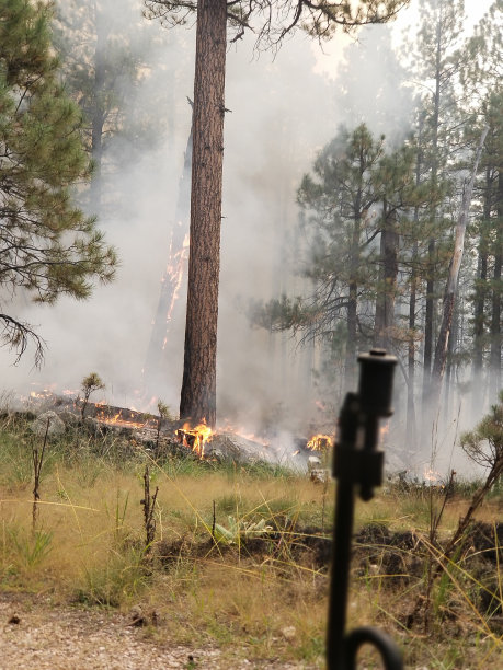 Driptorch目的图片下载