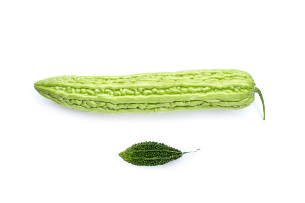 白底苦瓜苦瓜。图片下载